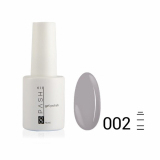 Цветной гель-лак PASHE №002 Серая гавань, 9 мл.