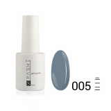 Цветной гель-лак PASHE №005 Стальной серый, 9 мл.