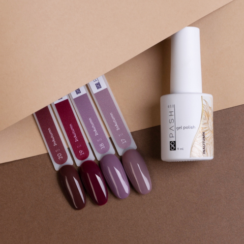 Гель-лак PASHE InAutumn №20 Горячий шоколад, 9 мл.