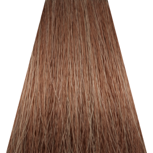 КОНЦЕПТ 6.1 Средний блондин пепельный 100 мл (s.t.)