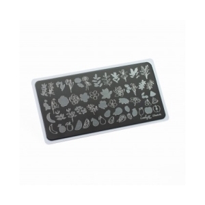 Lesly Пластина для стемпинга 6*12 см Sketch