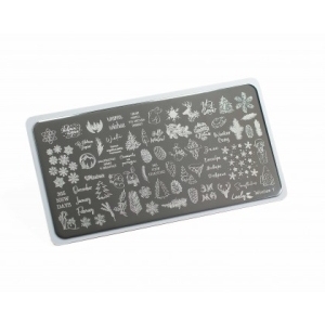 Lesly Пластина для стемпинга 6*12 см Winter-1
