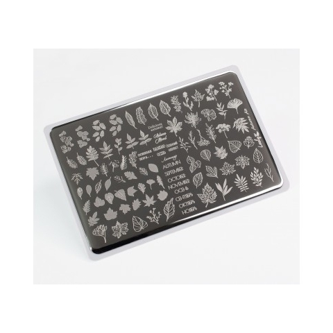 Lesly Пластина для стемпинга 8*12 см Autumn Air