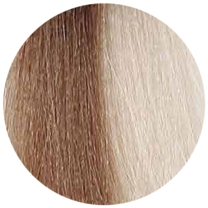 KAARAL BACO 10.0 CG Колор-гель оттеночный очень-очень светлый блондин, 60 мл.