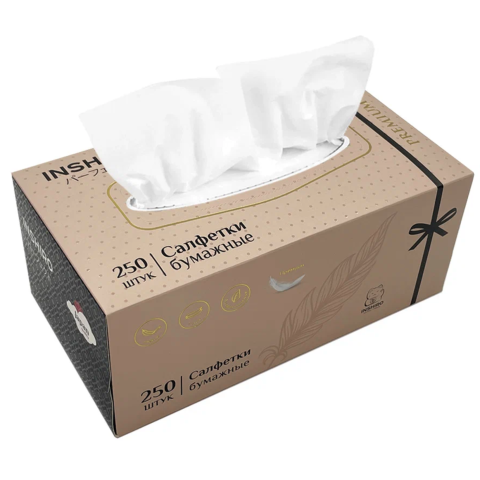 INSHIRO Салфетки белые 2-х слойные в коробке, 250 шт.