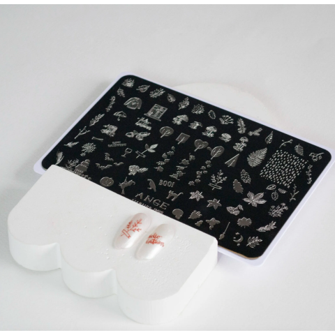 ANGE №010 Пластина для стемпинга 9,5*14,5 см.