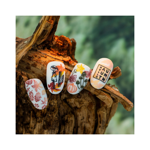 Lesly Пластины для стемпинга 6*12 см Autumn 2