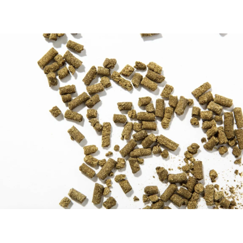 ZERAPY Тоник АКВА увлажняющий, тонизирующий для сухой и нормальной кожи, 10 пак.