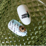 Lesly Пластины для стемпинга 6*12 см Winter Wishes