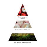 9974 RuNail Парфюмированный диффузор (Мускус, пион, личи), 100 мл.