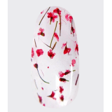 Lovely Гель-лак c сухоцветами Floral красный, 5 мл.