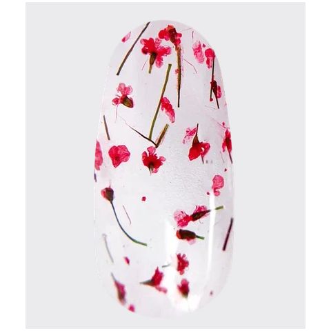 Lovely Гель-лак c сухоцветами Floral красный, 5 мл.